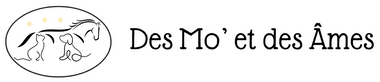 Logo Des Mo' et des Âmes