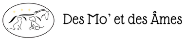 Logo Des Mo' et des Âmes