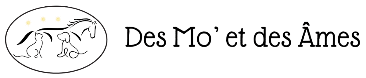 Logo Des Mo' et des Âmes