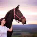 Jeune femme admirant un cheval avec beaucoup de respect