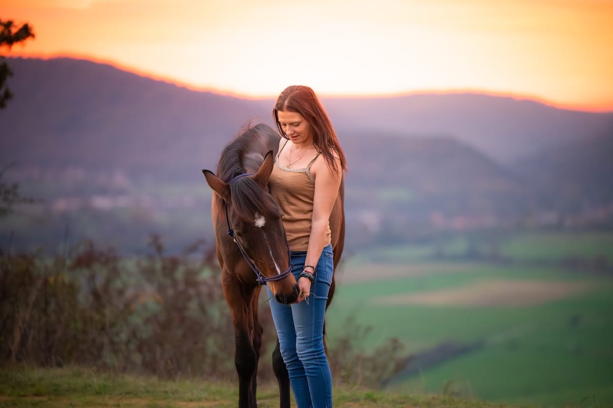 Praticienne bien-être animal nourrissant un cheval avec une grande proximité