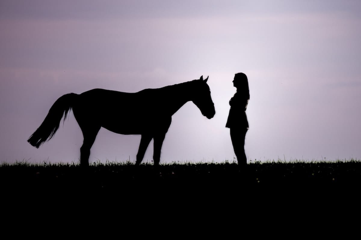 Lien profond entre une praticienne bien-être animal et un cheval