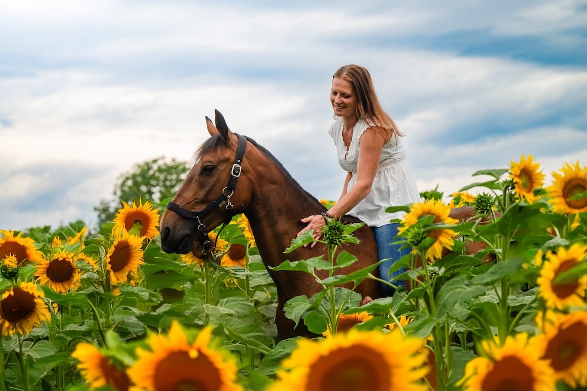 Praticienne bien-être animal accompagnant un cheval dans un moment de relaxation