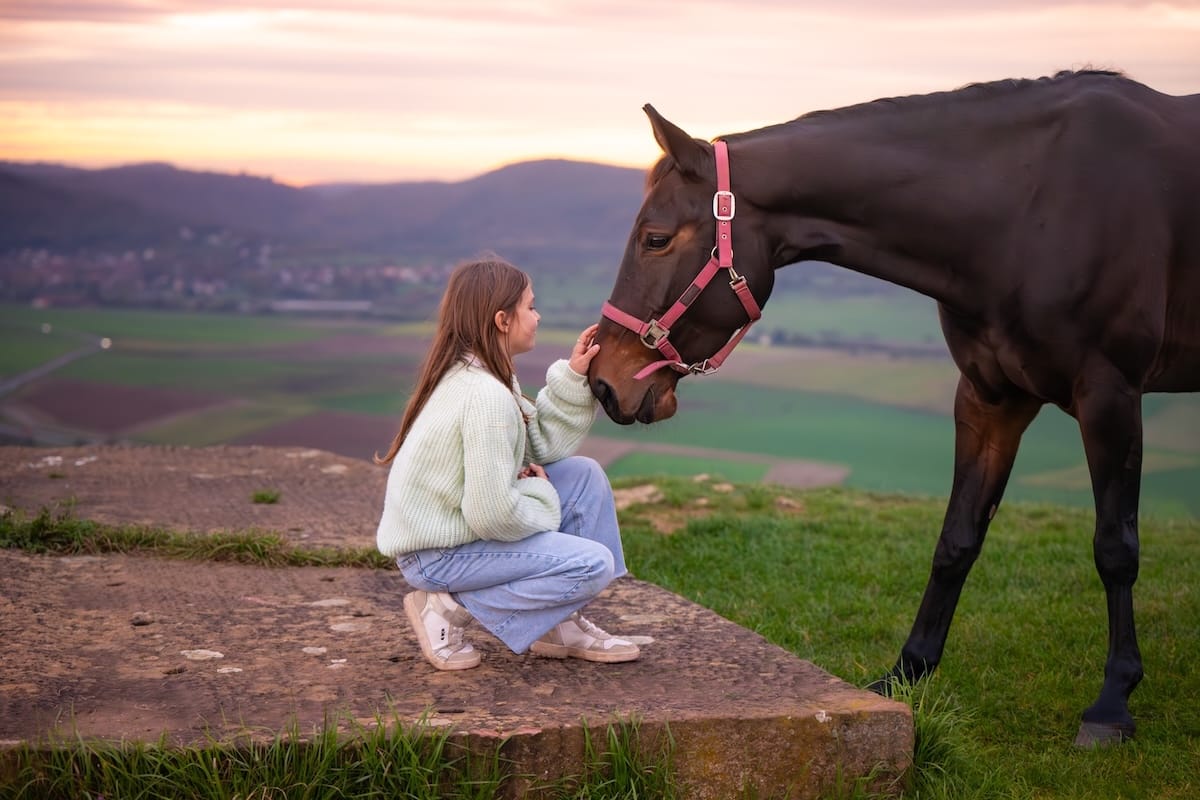 Cheval réclamant des caresses à une jeune fille