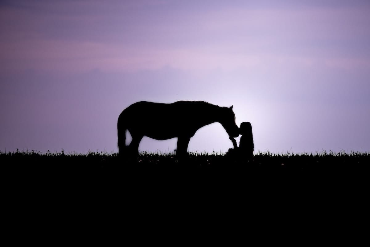Lien profond entre une jeune fille et un cheval