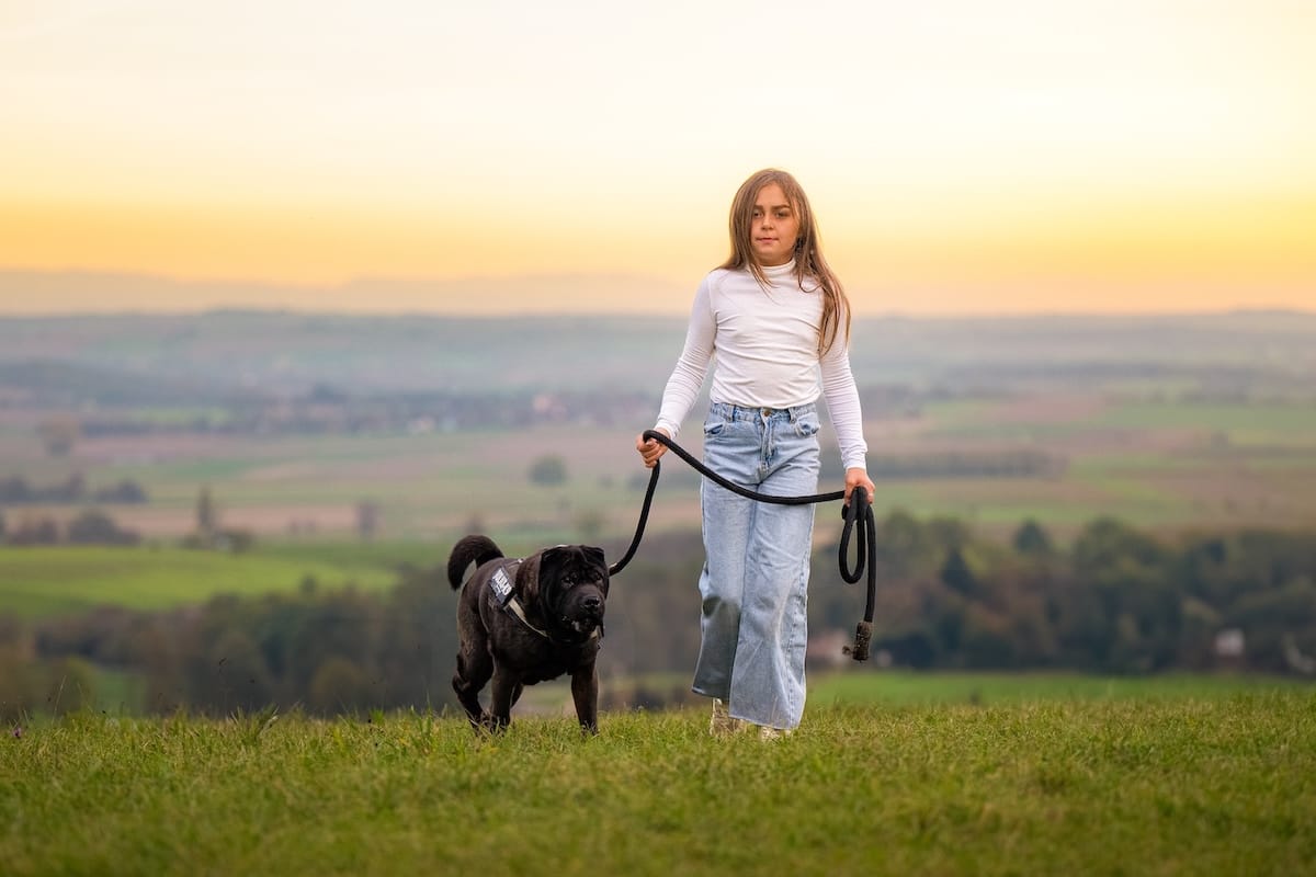 Jeune fille promenant son chien dans la nature