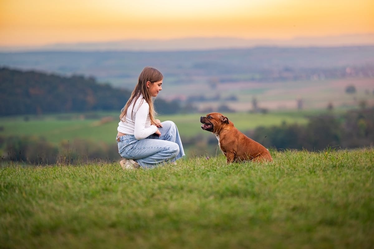 Regard complice entre un chien et une jeune fille