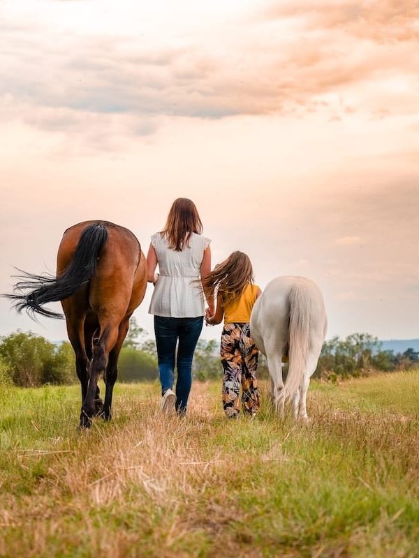 Praticienne bien-être animal avec une jeune fille marchant dans l'herbe avec deux chevaux